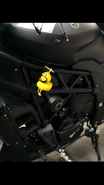 Benelli 502c/249s/Leoncino/TNT600/300 frame slider