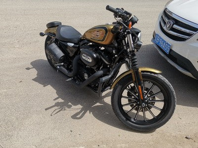 Harley sportster 883/48/72/1200 Mustache crashbar