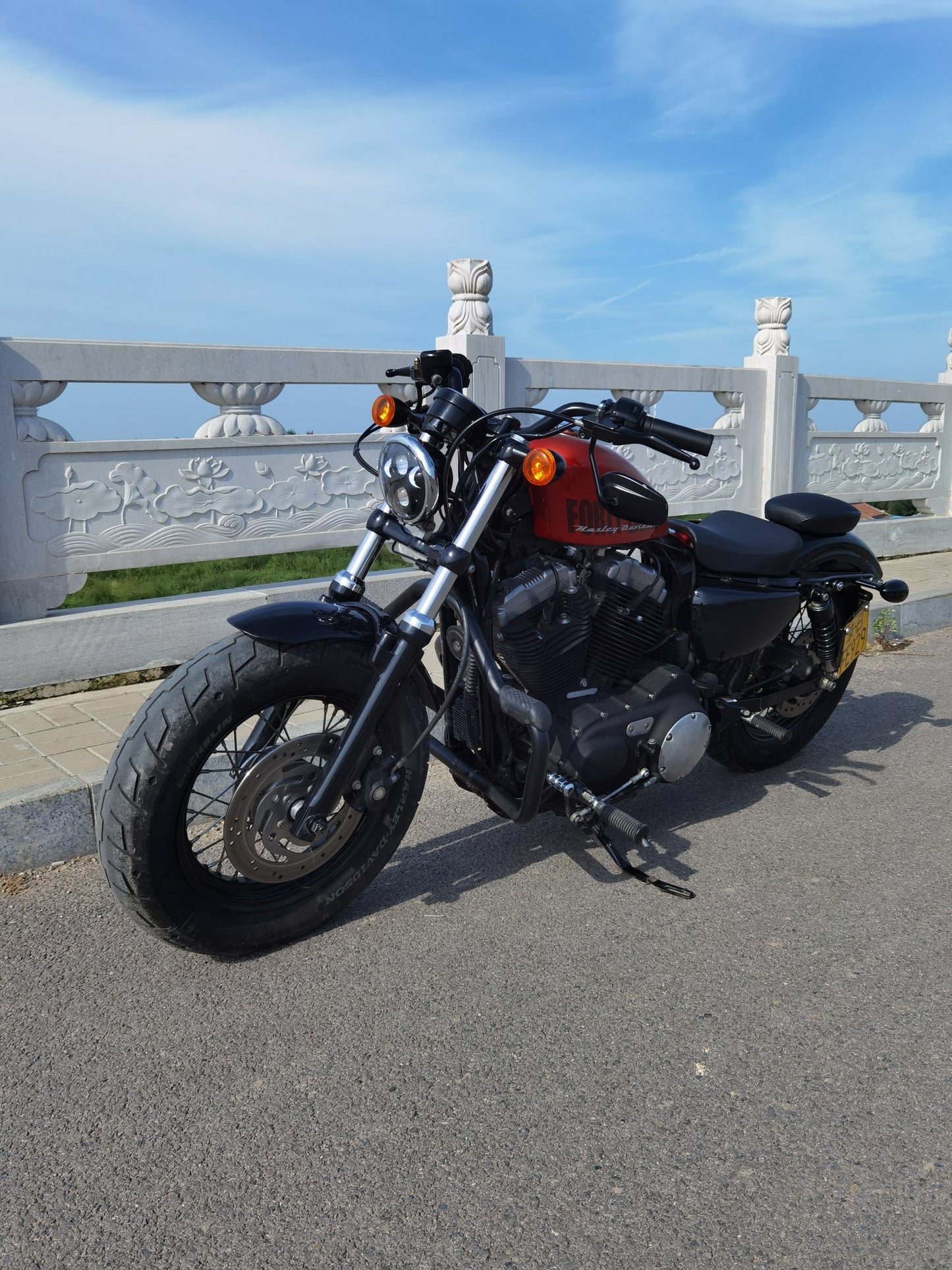 Harley sportster 883/48/72/1200 Mustache crashbar