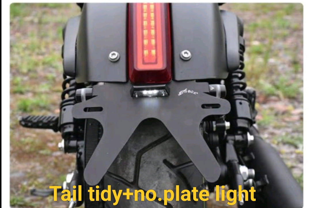 Qjmoto SRV 250 Tail Tidy+LED