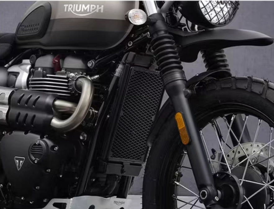Triumph Speed 400 Radiator Cover