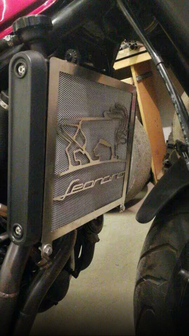 Benelli Leoncino 250 Radiator cover
