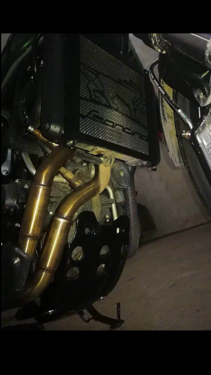 Benelli Leoncino 250 Radiator cover