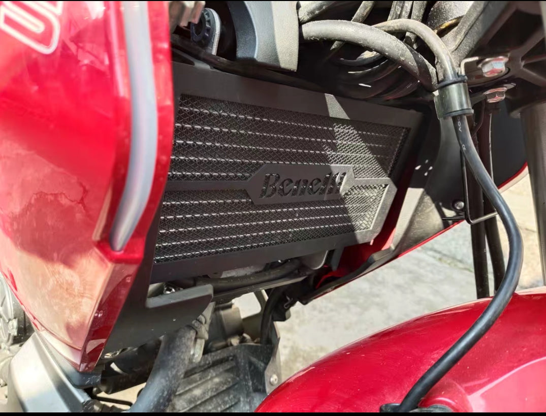 Benelli TNT 150S Radiator cover