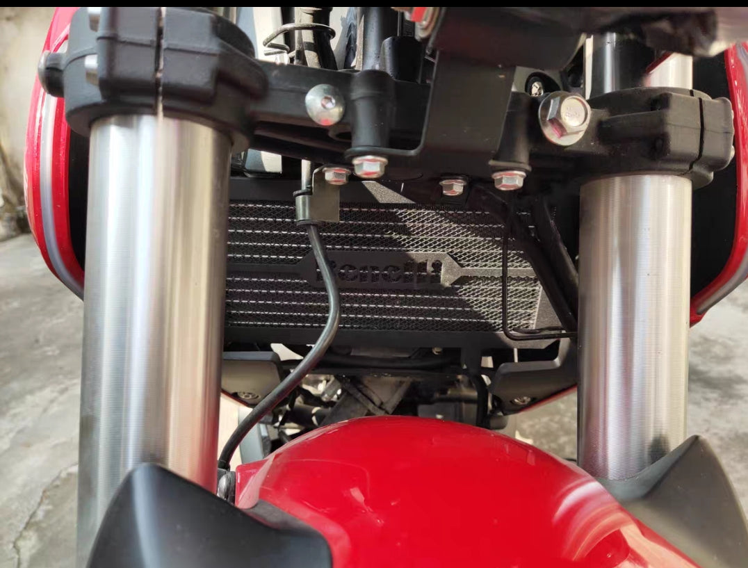 Benelli TNT 150S Radiator cover