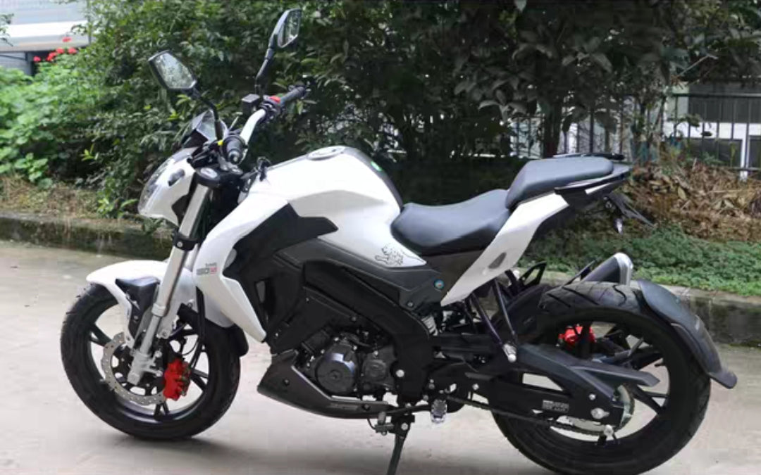 BENELLI TNT 150s REAR SEAT GRAB BAR