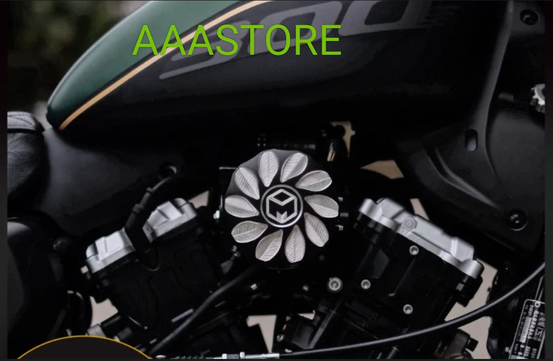 QJmoto SRV 250 Air Cleaner filter