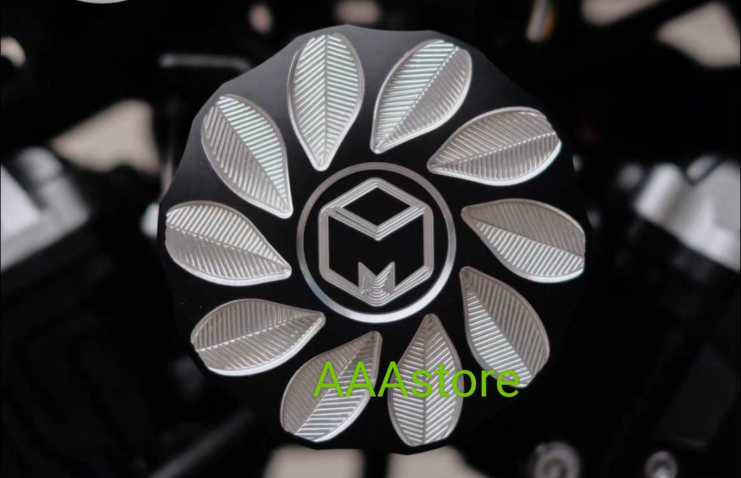 QJmoto SRV 250 Air Cleaner filter