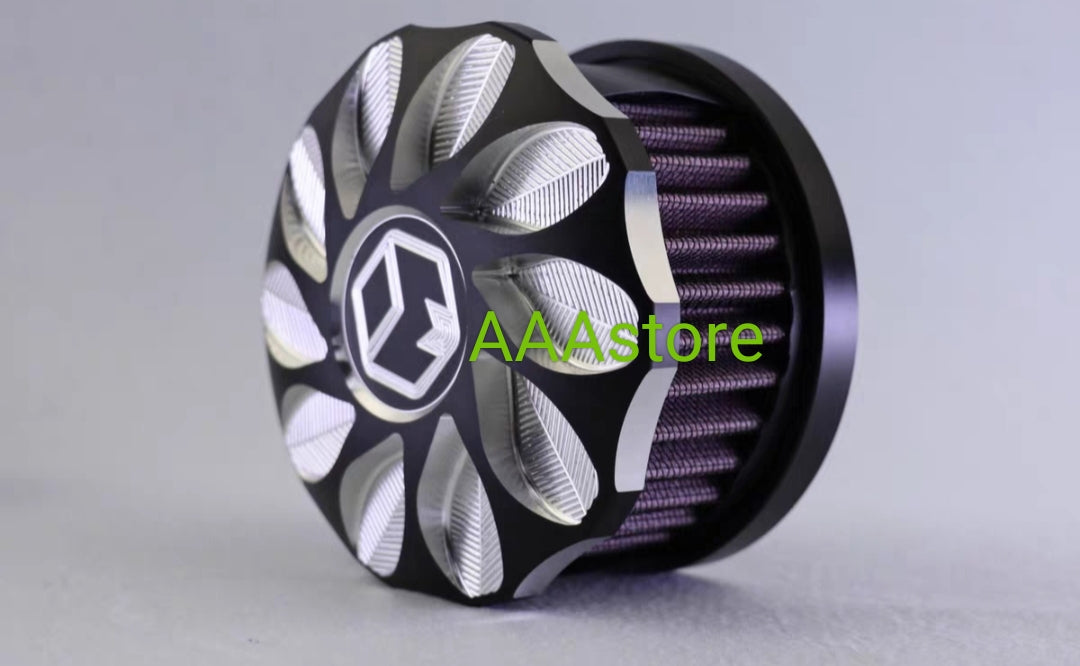 QJmoto SRV 250 Air Cleaner filter