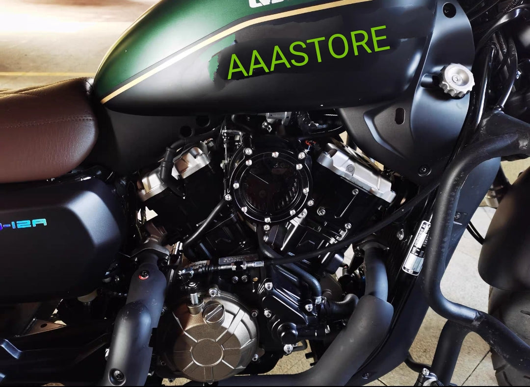 QJmoto SRV 250 Air Cleaner filter