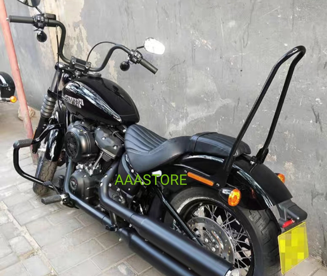 Harley Softail crash bar