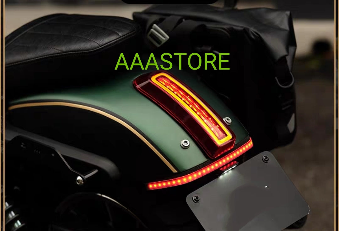 Qjmoto SRV 250 Tail Tidy+LED