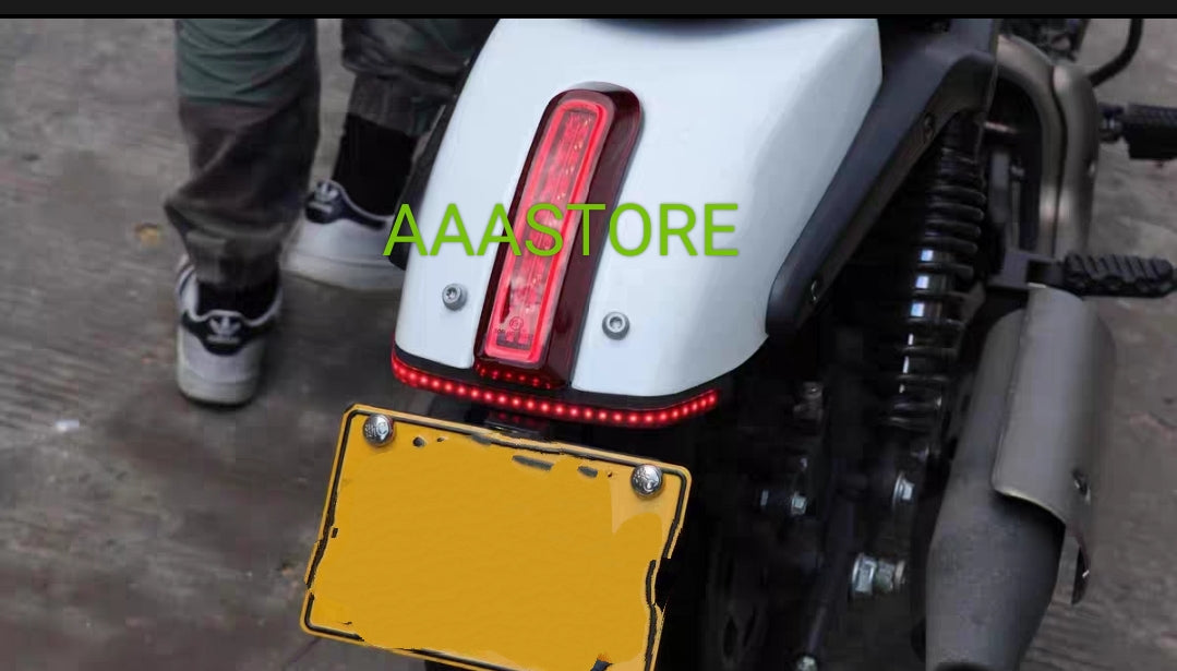 Qjmoto SRV 250 Tail Tidy+LED