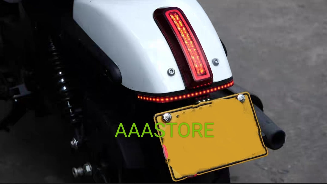 Qjmoto SRV 250 Tail Tidy+LED