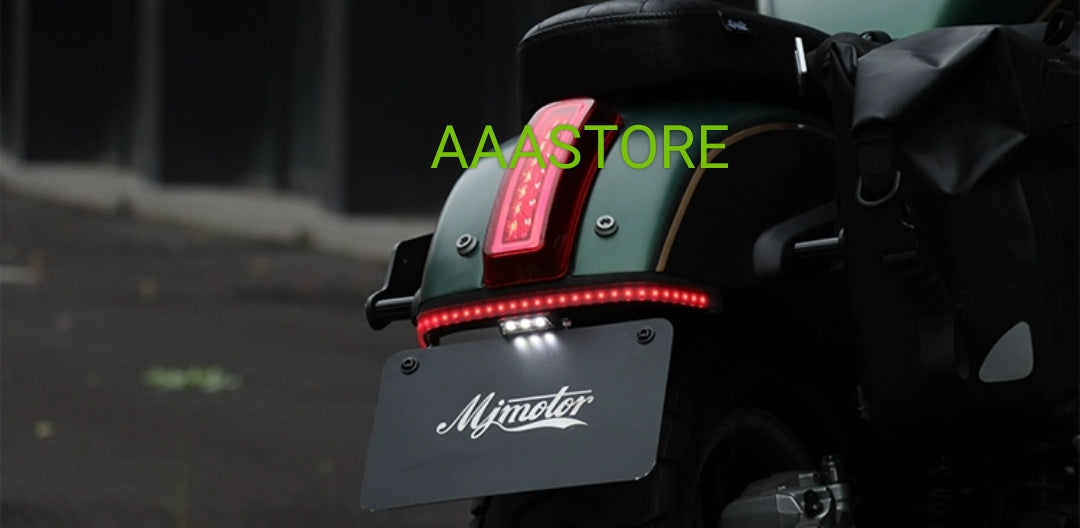 Qjmoto SRV 250 Tail Tidy+LED