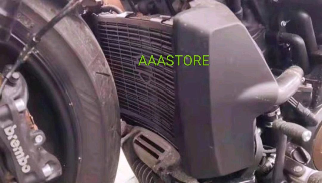 Harley Davidson sportster s radiator Cover